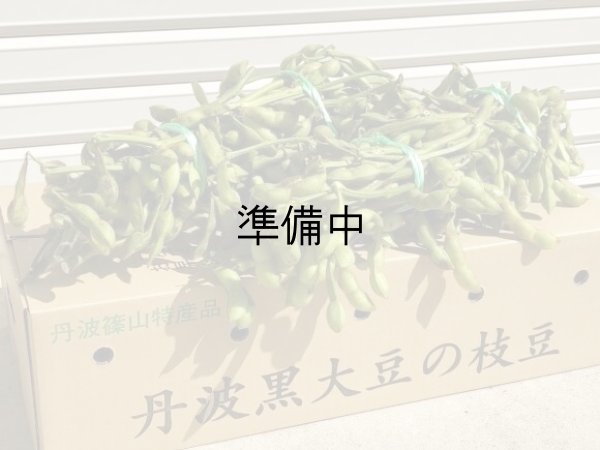 画像1: 黒枝豆　枝付き　2束（約1kg×2）【10月中旬お届け】 (1)