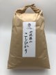 画像1: 令和6年産 新米コシヒカリ　玄米20kg (1)