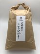 画像1: 令和7年産 新米コシヒカリ　玄米10kg (1)