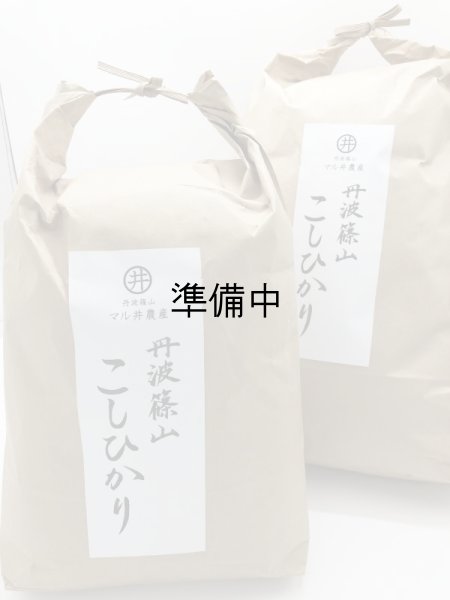 画像1: 令和7年産 新米コシヒカリ　玄米100kg（20kg×5回　定期お届け） (1)