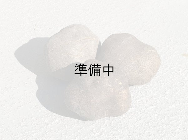 画像1: 山の芋　秀品　約1kg (1)