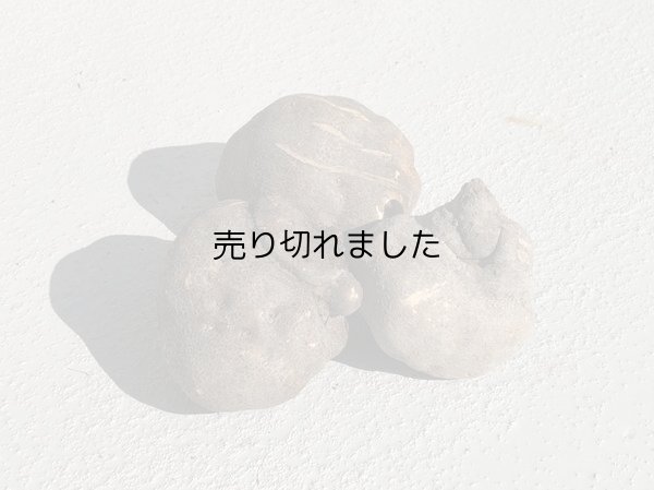 画像1: 山の芋　優品　約2kg (1)