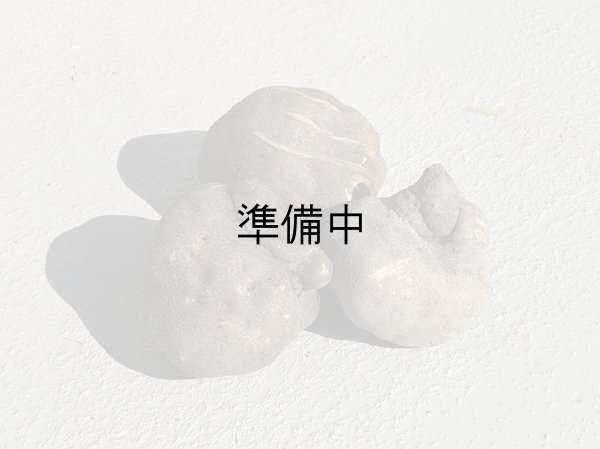 画像1: 山の芋　優品　約2kg (1)